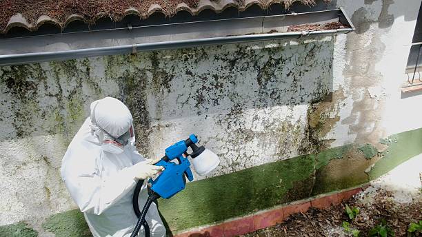 Trusted Mold Removal service in Moncure, NC - Cheap Mold Removal